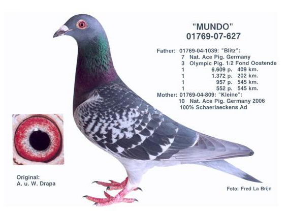 mundo