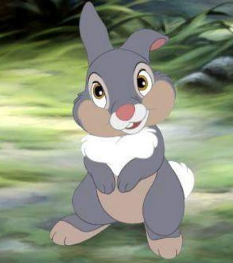 panpan-le-lapin-dans-bambi_123781_w460.jpg