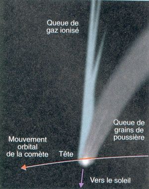 751.jpg