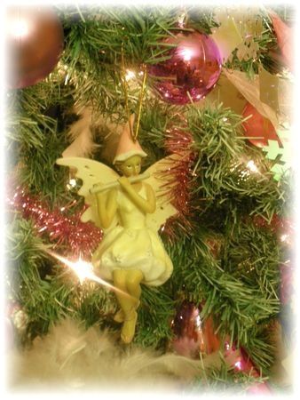 sapin4