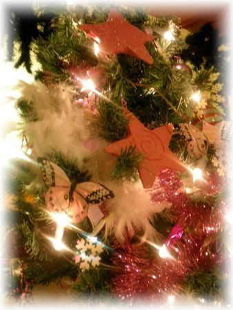 sapin_5