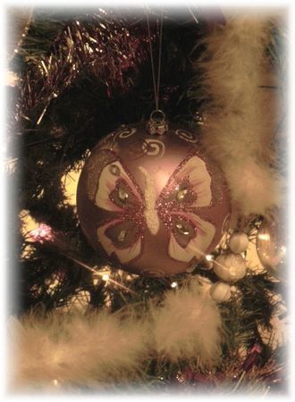 sapin9