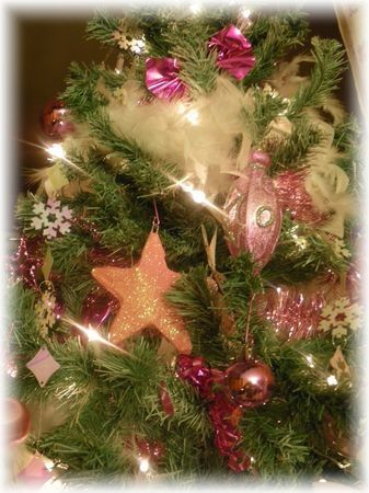 sapin10