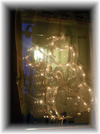 sapin11