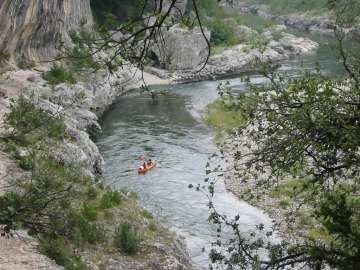 medium_IMG_0129.jpg