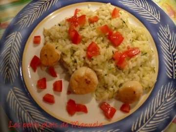 medium_risotto_stjacques.jpg