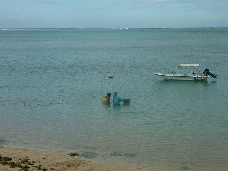 chat rencontre tahiti