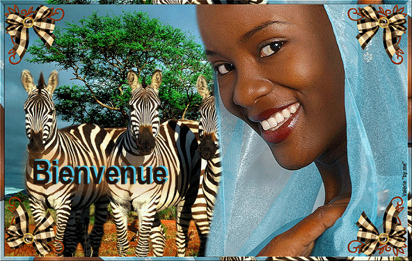 661-CADEAU FEMME AFRICAINE ZEBRE BIENVENUE