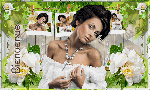 743-CADEAU1-FEMME-ROBE-VOLANT-BIENVENUE.