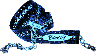 BONSOIR VBM29