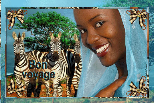 661-PREVIEW PAPIER FEMME AFRICAINE ZEBRE BON VOYAGE