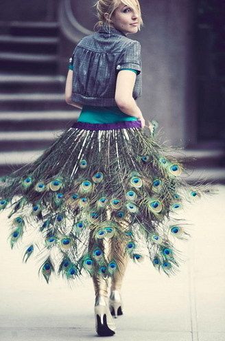 plume,de,paon