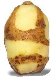 patate.JPG