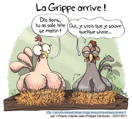 caricature-poule-qui-couve.jpg