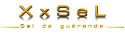 Logo-XxSeL--copie-1.jpg