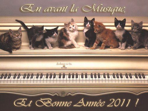 chats-piano-en-avant-la-musique