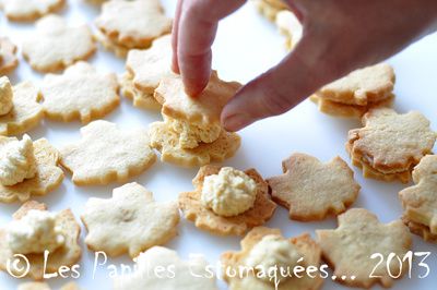 Biscuits-erable-03-sbc.jpg
