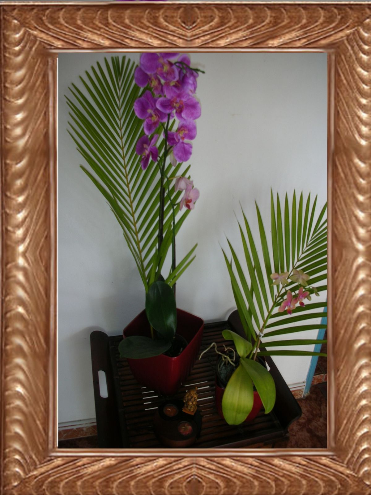 La déco et le feng shui ~~ clg création