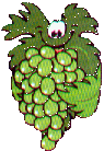 fruits-raisins-00002