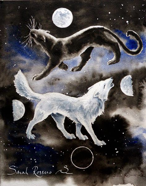 Panthere-noire-et-loup-blanc--phases-lunaires-fini-photo-I.jpg