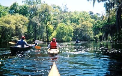 swanne-river-kayak-fla.jpeg