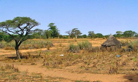 sahel-senegal