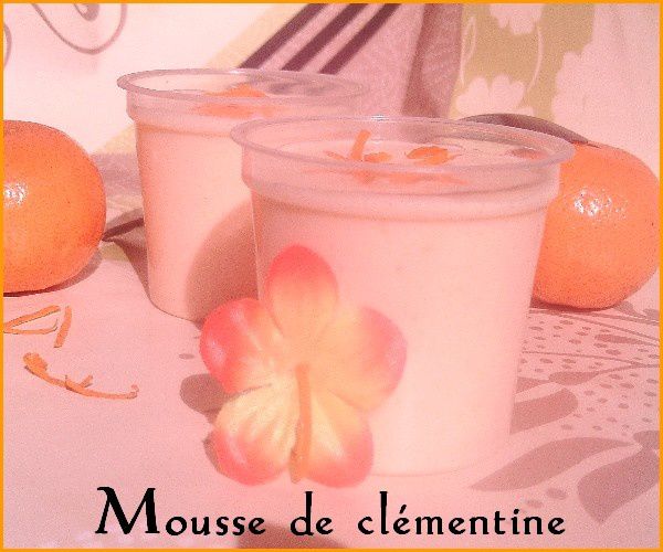 mousse-de-clementine1.jpg