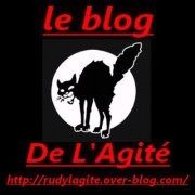 Le Blog De L'Agité Le Blog De L'Agité