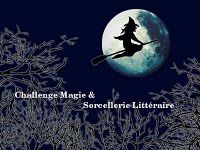challenge magie et sorcellerie