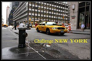 Challenge-new-york-en-litterature---well-read-kid.jpg
