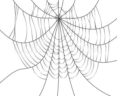 3065832-706379-vector-spider-web.jpg