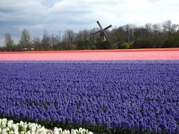 images-copie-4