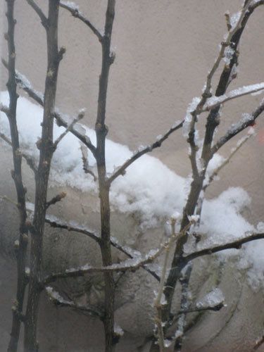 La neige sur mon balcon 1