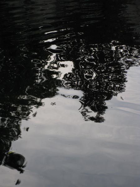 Reflets dans l'eau 4
