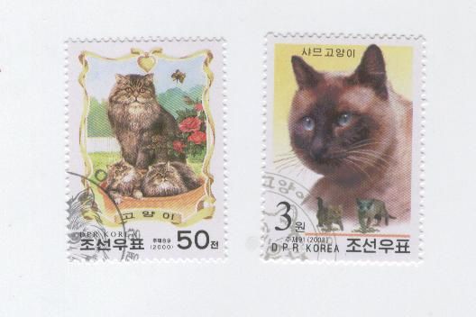 Chats-Coree-du-Nord-2000-2002.jpg
