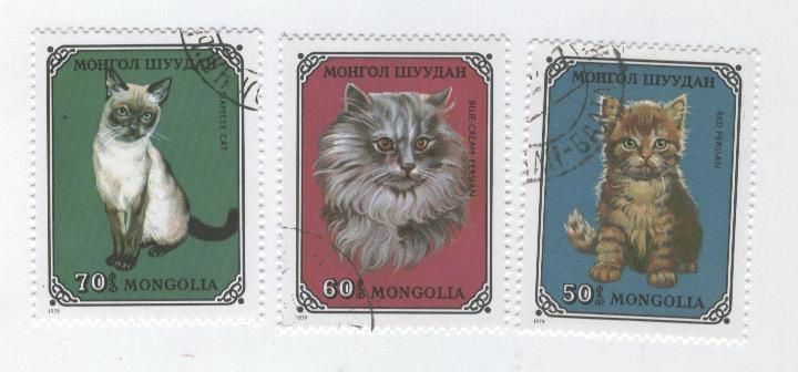 chat-mongolie-1979.jpg
