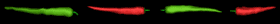 478-chili-line-b