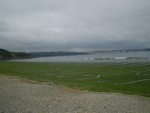 plageouprairie.JPG