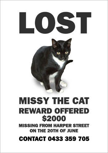 missing missy4