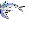 dauphins-13