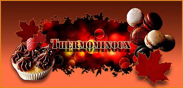 Banniere thermominoux