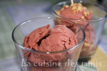 Sorbet Fruits rouges (Machine FRISSONS Demarle) - La Cuisine Des Minis