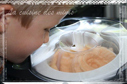 Sorbet Melon (Machine Frissons DEMARLE) - La Cuisine Des Minis