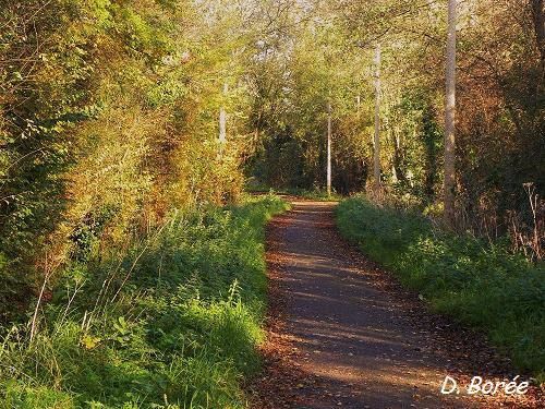 Chemin octobre5