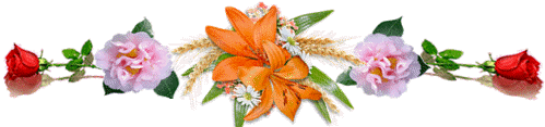 florale iris orange