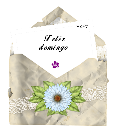 enveloppe-2-fleur-espagnol-copie-1.png