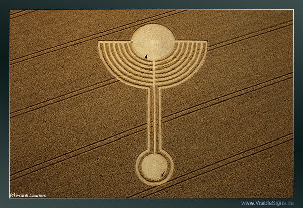 crops3.jpg