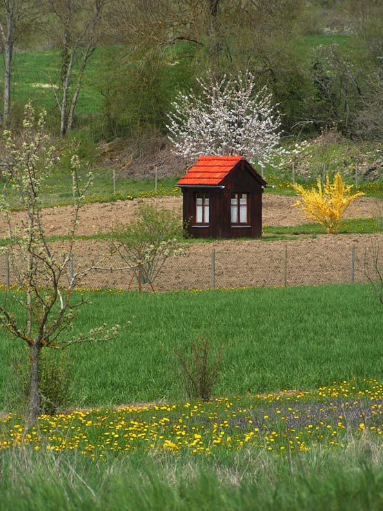 cabane de jardin au printemps