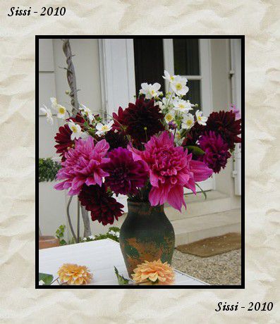 bouquet dahlias