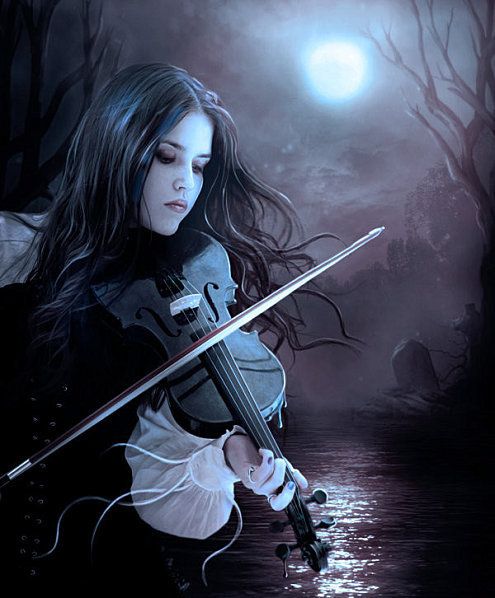 violon-noir